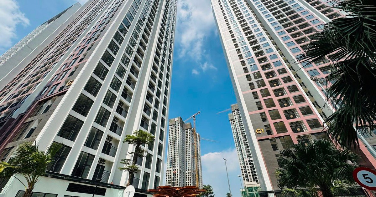 Có 3 tỷ đồng, người trẻ nên mua chung cư hay tiếp tục đi thuê nhà?