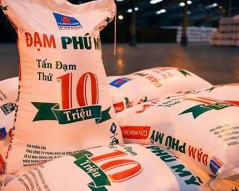 Nóng: Thanh tra Chính phủ công bố quyết định thanh tra  Đạm Phú Mỹ