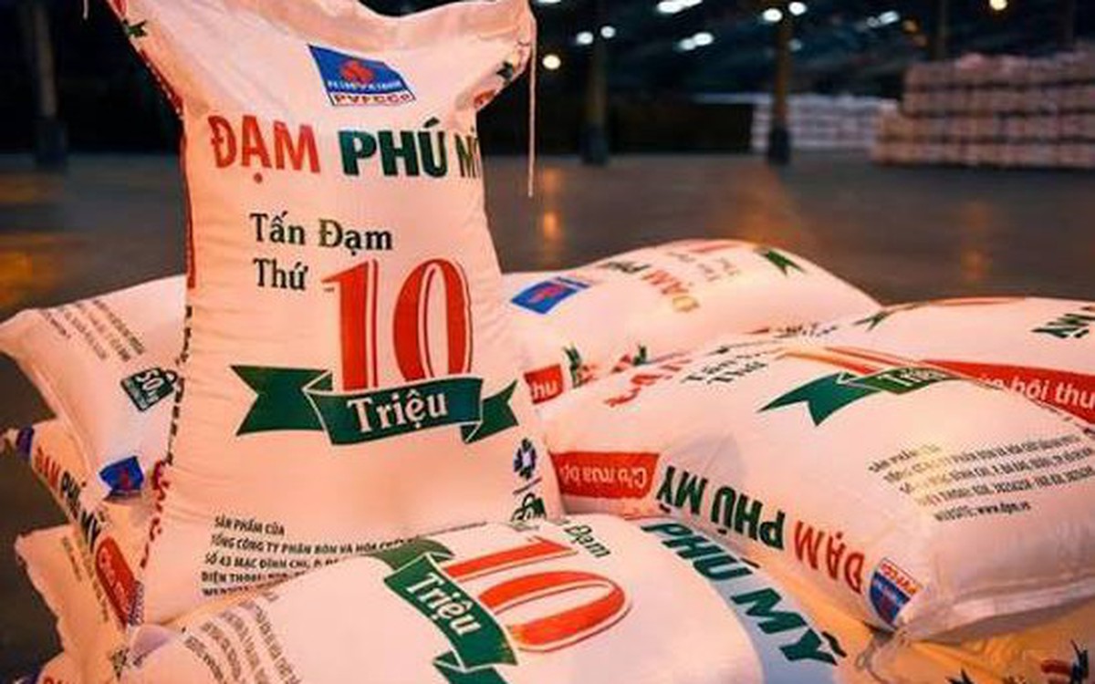 Nóng: Thanh tra Chính phủ công bố quyết định thanh tra  Đạm Phú Mỹ