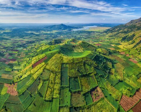 Việt Nam sở hữu ngọn núi lửa có tuổi đời hàng triệu năm, nằm ẩn mình giữa đại ngàn Tây Nguyên, mùa hoa dã quỳ nhuộm vàng triền núi, được quy hoạch thành khu du lịch