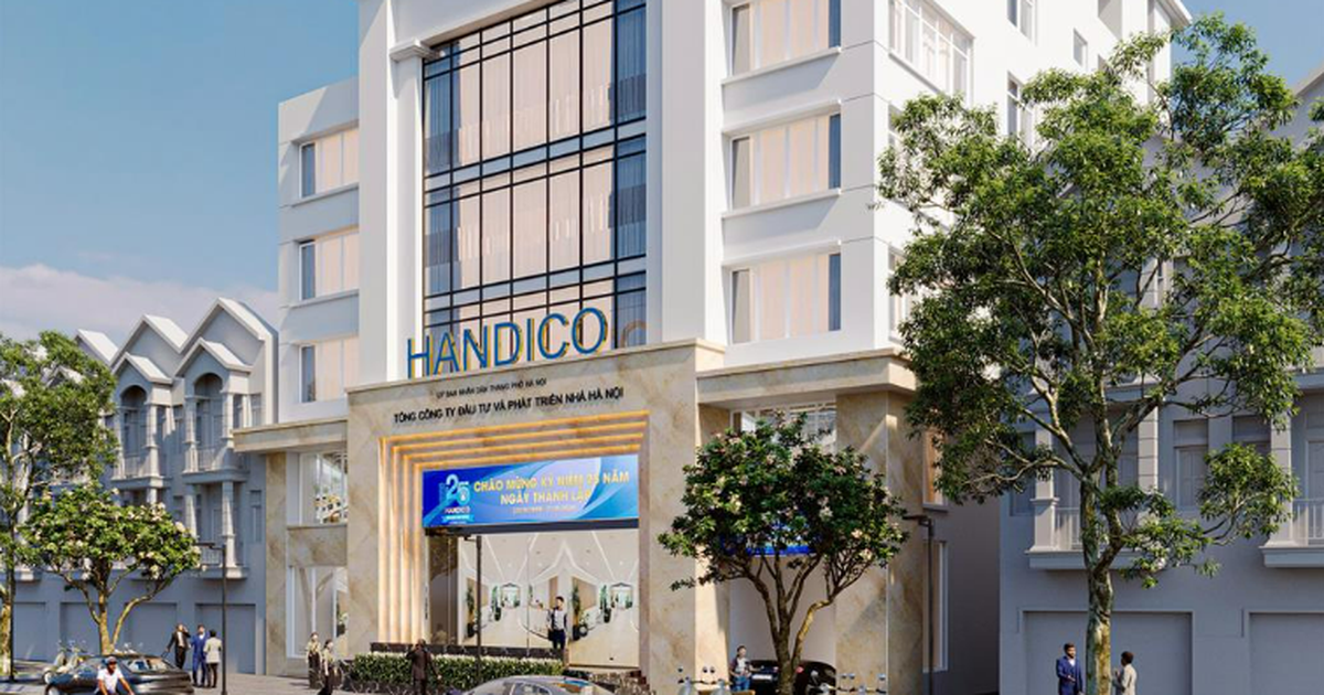 Thanh tra hoạt động liên doanh, góp vốn, thoái vốn tại Handico