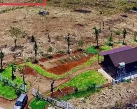 Đắk Lắk cảnh báo chiêu rao bán đất nền, nhận cọc trái phép trên mạng
