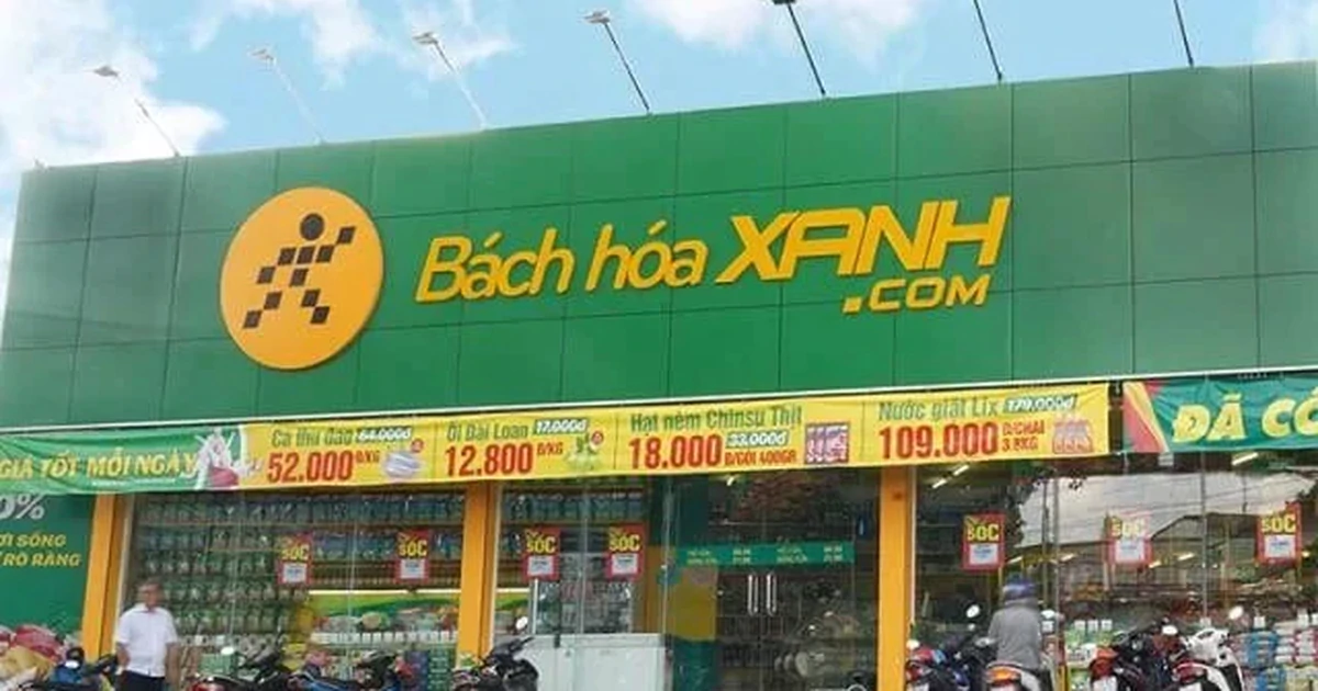 Thế giới Di động bảo lãnh vô điều kiện cho Bách Hóa Xanh vay 2.000 tỷ