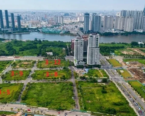 TP.HCM chấn chỉnh công tác đấu giá quyền sử dụng đất