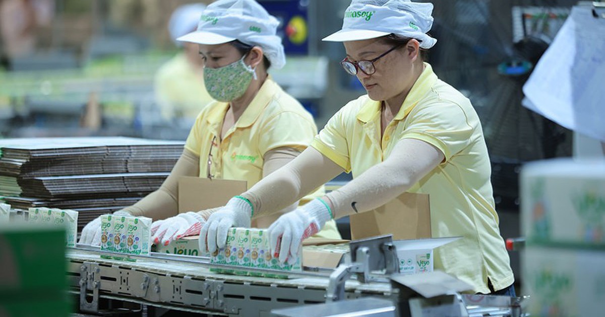 Chủ hãng sữa Fami lãi ròng gần 450 tỷ đồng trong quý III/2026, biên lợi nhuận gộp cải thiện