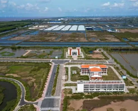 Lý do khu công nghệ cao phát triển tôm Bạc Liêu ‘lụt’ 9 năm