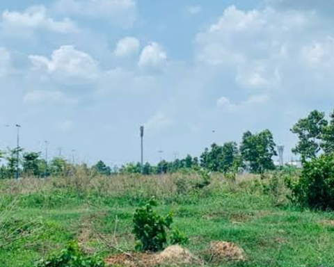BĐS Thành Ngân bị thu hồi gần 9.300m2 đất do vi phạm nghĩa vụ tài chính
