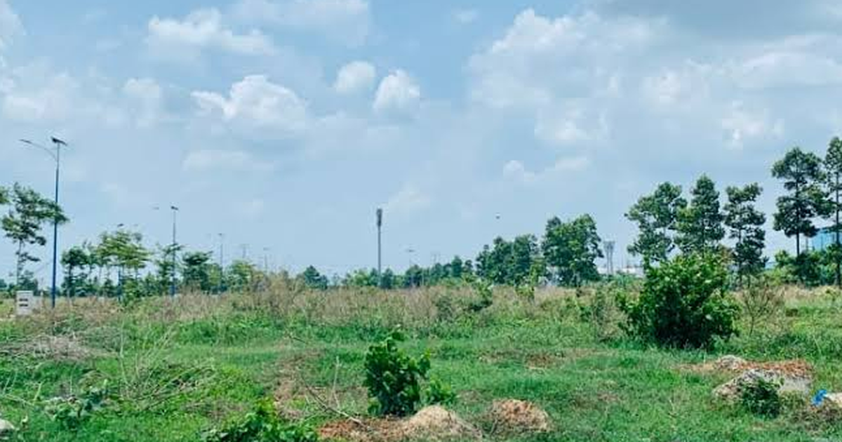 BĐS Thành Ngân bị thu hồi gần 9.300m2 đất do vi phạm nghĩa vụ tài chính