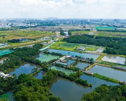 TPHCM xem xét đưa 147 khu đất thí điểm làm nhà ở thương mại