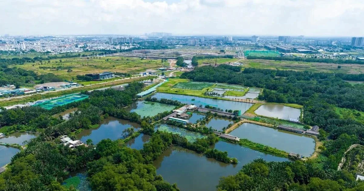 TPHCM xem xét đưa 147 khu đất thí điểm làm nhà ở thương mại