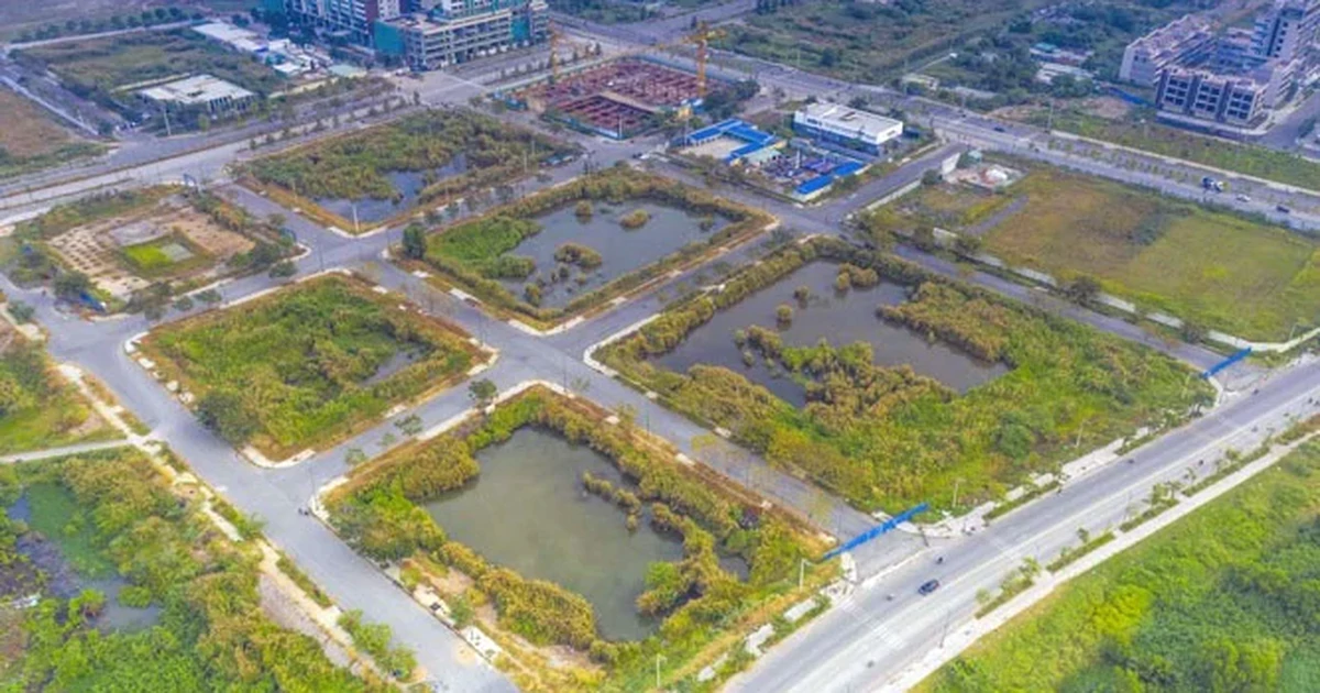 Niêm yết đấu giá 4 lô ‘đất vàng’ ở Thủ Thiêm