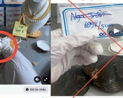 “Khui ngọc trai” trúng tiền tỷ: Công an vạch trần 3 bước lừa đảo