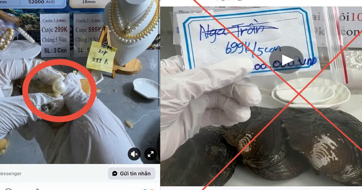 “Khui ngọc trai” trúng tiền tỷ: Công an vạch trần 3 bước lừa đảo
