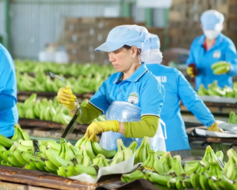 Cổ phiếu của HAGL Invest sắp được giao dịch trên UPCoM