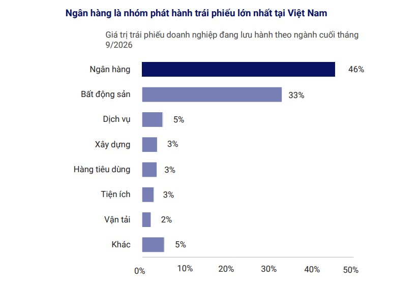 Xếp hạng tín nhiệm trái phiếu ngân hàng Việt Nam còn hạn chế, nhà đầu tư khó định giá rủi ro- Ảnh 1.