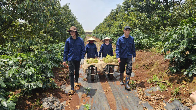 Bầu Đức lập Ủy ban ESG quy tụ 2 tiến sĩ, 3 thạc sĩ: 'Làm nông nghiệp lớn như HAGL mà không có cái này là không ổn' - Ảnh 2.