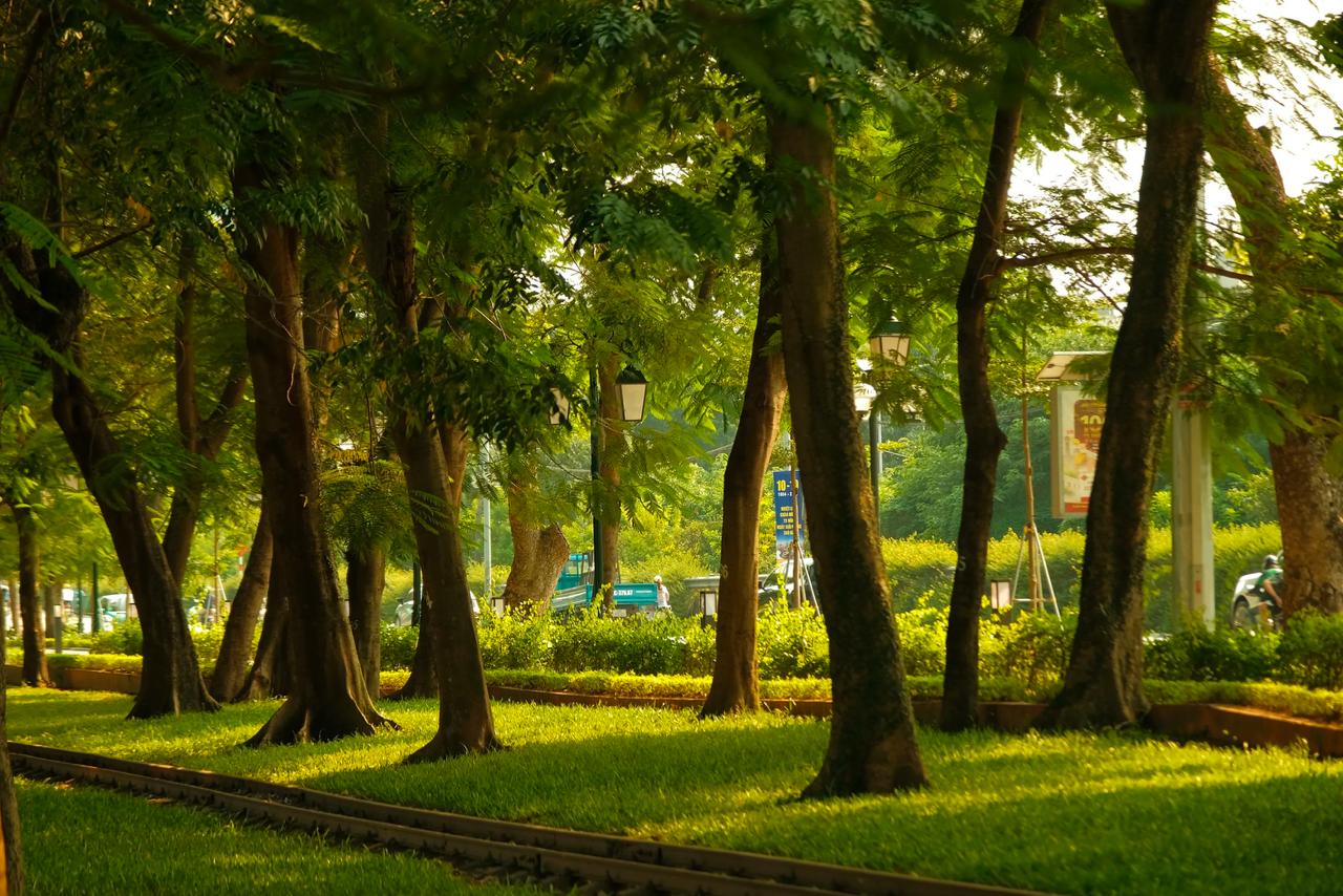 Hà Nội hạ gần 10 độ chỉ sau một đêm, dân tình đồng loạt rủ nhau “xin nghỉ làm để đi lượn phố” - Ảnh 65.