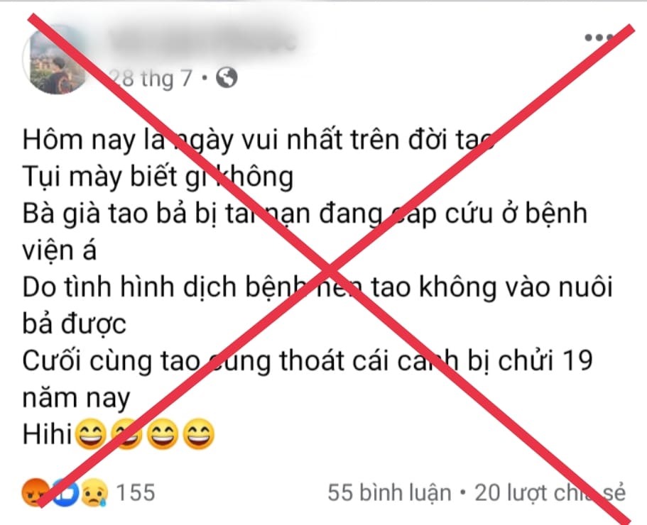 Admin nhóm Con ghét bố mẹ có phải chịu trách nhiệm về bài đăng vi phạm pháp luật không? - Ảnh 5.