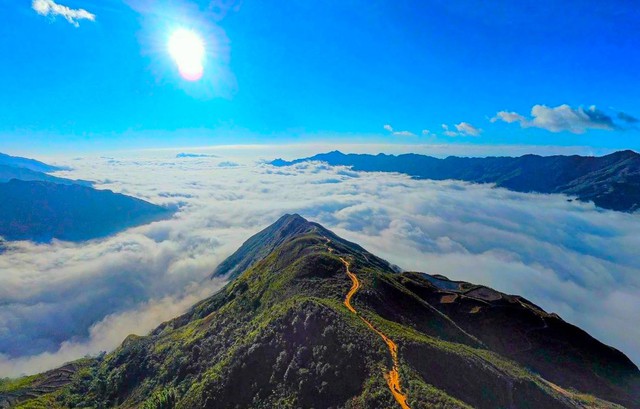 Việt Nam sở hữu một 