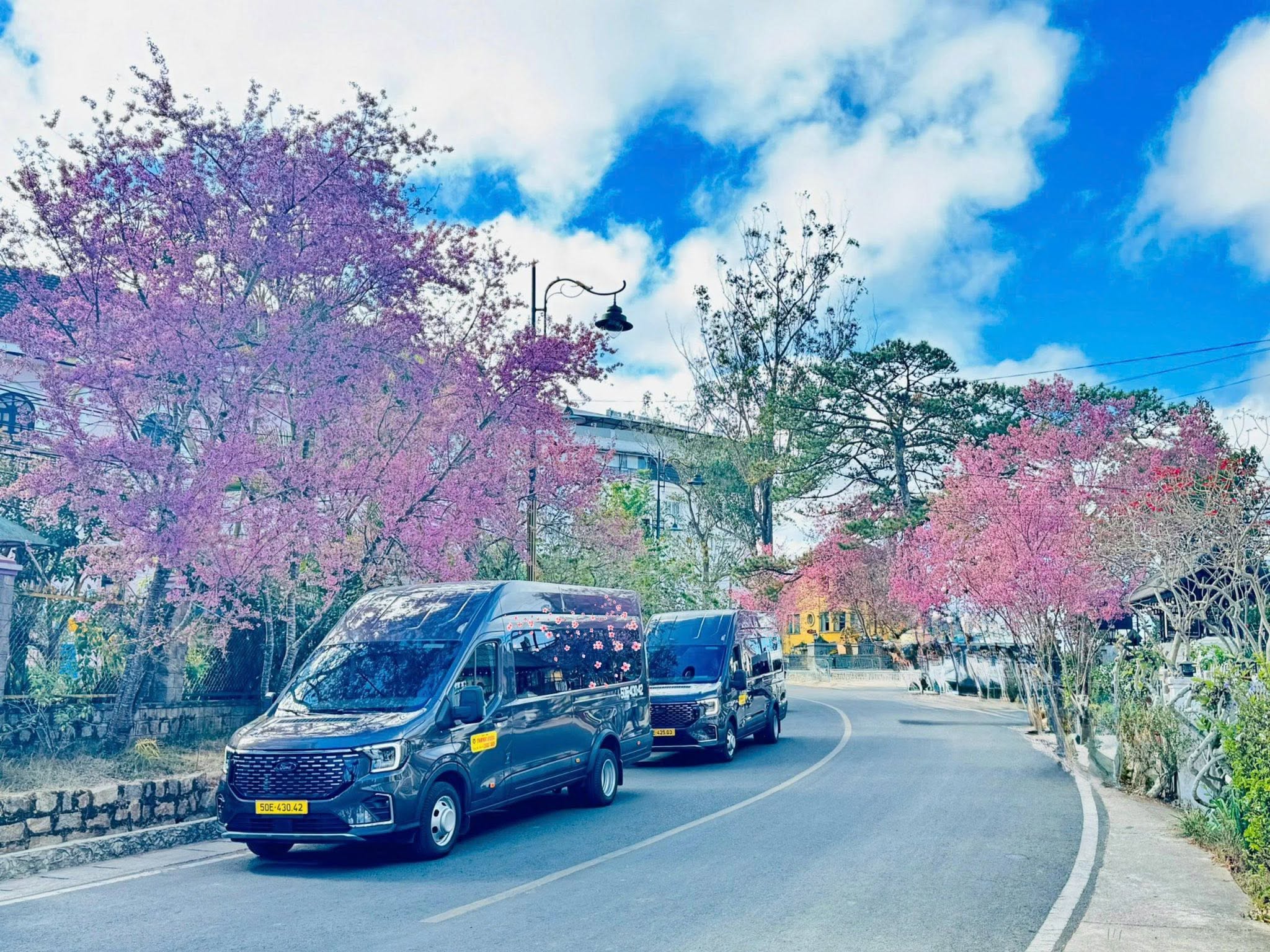 Chỉ chưa đầy 20 ngày nữa, một nhà xe nổi tiếng miễn phí 1240 vé khứ hồi cho toàn bộ phụ nữ Việt Nam - Ảnh 10.