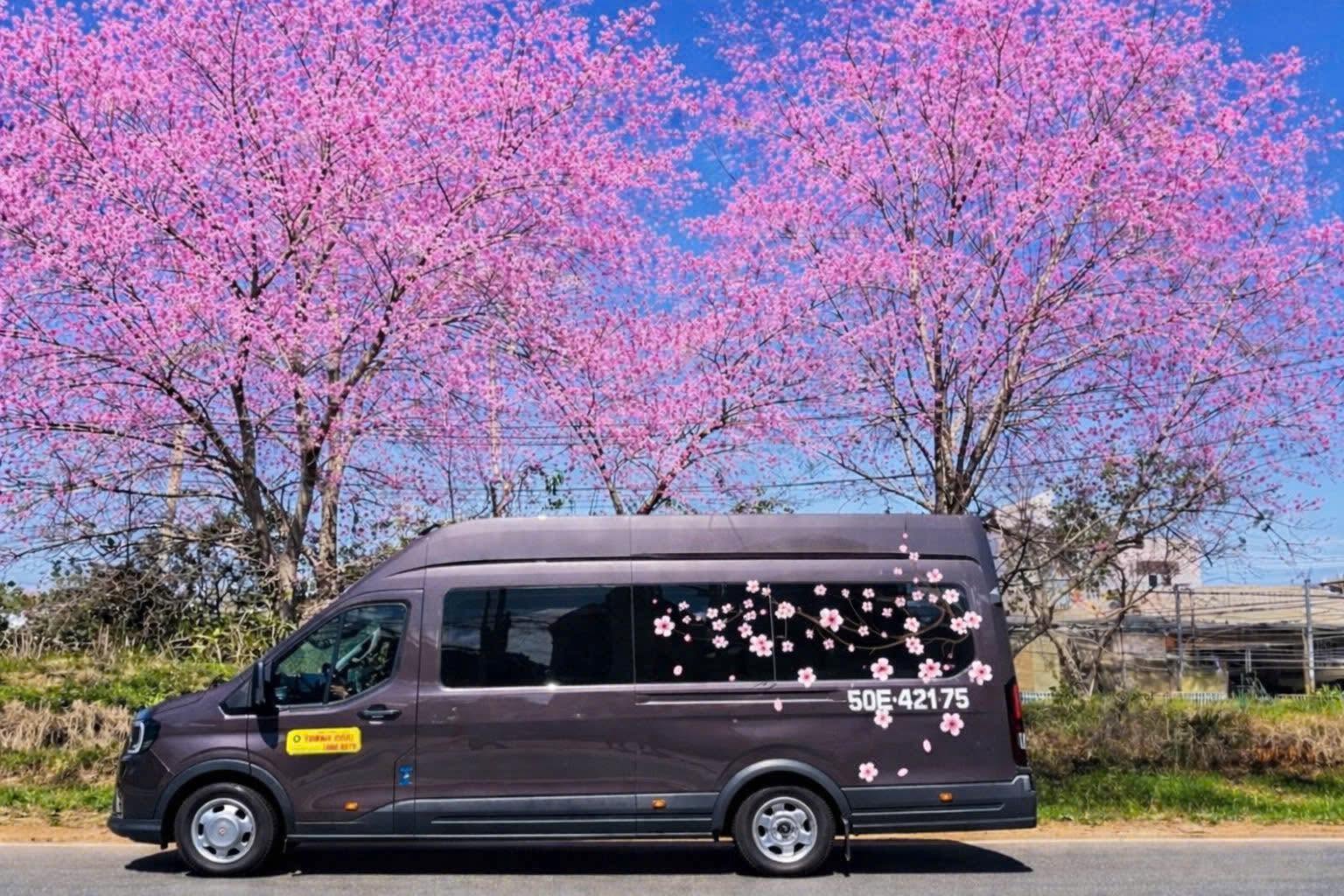 Chỉ chưa đầy 20 ngày nữa, một nhà xe nổi tiếng miễn phí 1240 vé khứ hồi cho toàn bộ phụ nữ Việt Nam - Ảnh 11.