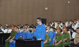 Lý do luật sư kiến nghị giám định tâm thần với Mr Pips?