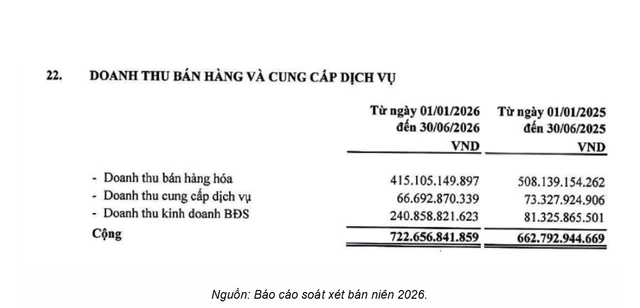 25 phiên giảm sàn liên tiếp, doanh nghiệp chuyên BĐS tỉnh lẻ gây sốt- Ảnh 5.