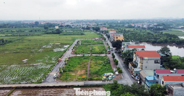 Quy định thế nào là đất bỏ hoang, bị đánh thuế?
