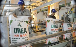 'Quả đấm thép' một thời ngành phân bón có quý thứ 3 lãi trên trăm tỷ, lỗ luỹ kế vẫn hơn 1.000 tỷ