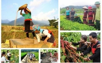 Sẽ có khung chính sách mới cho chương trình mục tiêu quốc gia Sẽ có khung chính sách mới cho chương trình mục tiêu quốc gia