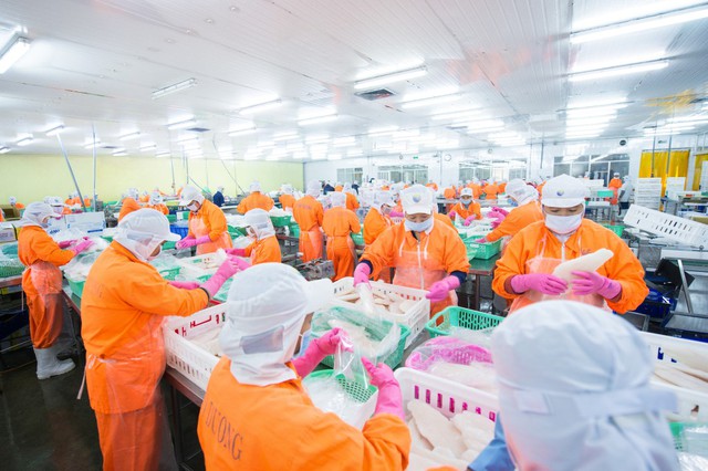Nam Việt chia cổ tức bằng tiền mặt tỷ lệ 10%- Ảnh 1. Nam Việt chia cổ tức bằng tiền mặt tỷ lệ 10%- Ảnh 1.