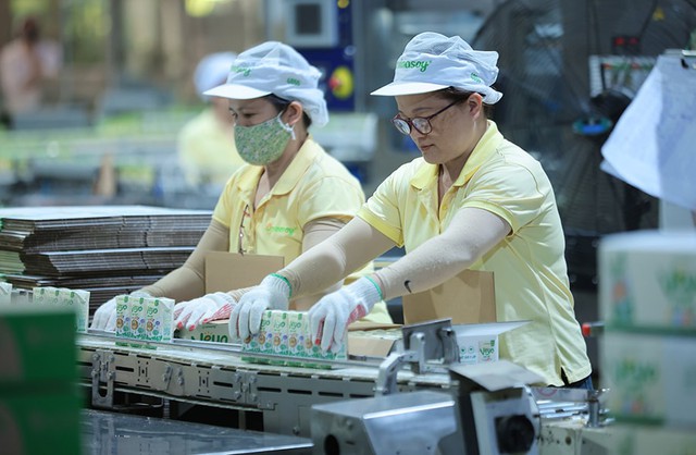 Chủ hãng sữa Fami lãi ròng gần 450 tỷ đồng trong quý III/2026, biên lợi nhuận gộp cải thiện- Ảnh 1.