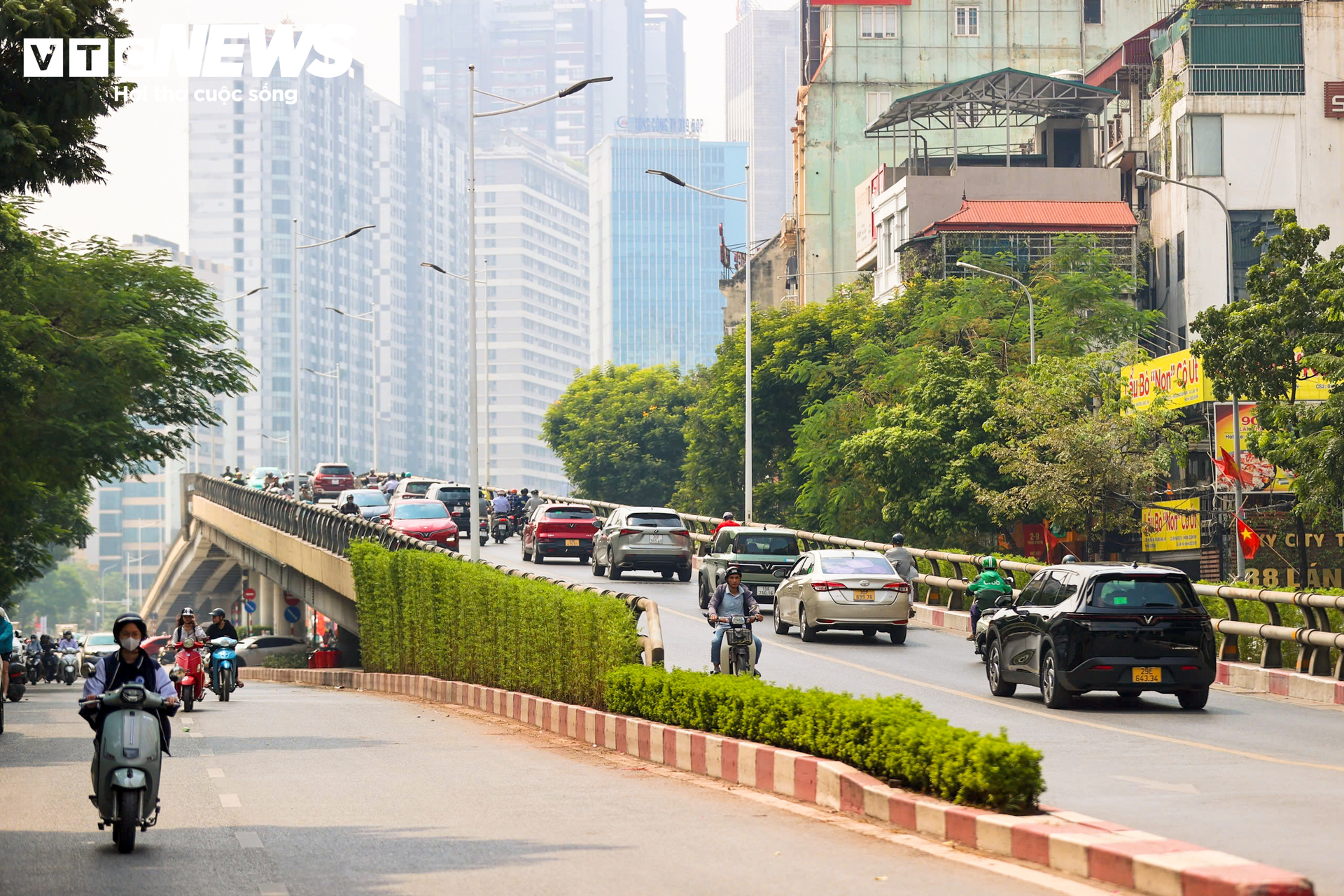 Lạ mắt những vòm cây xanh phủ kín trụ metro, hầm chui ở Hà Nội - Ảnh 8.