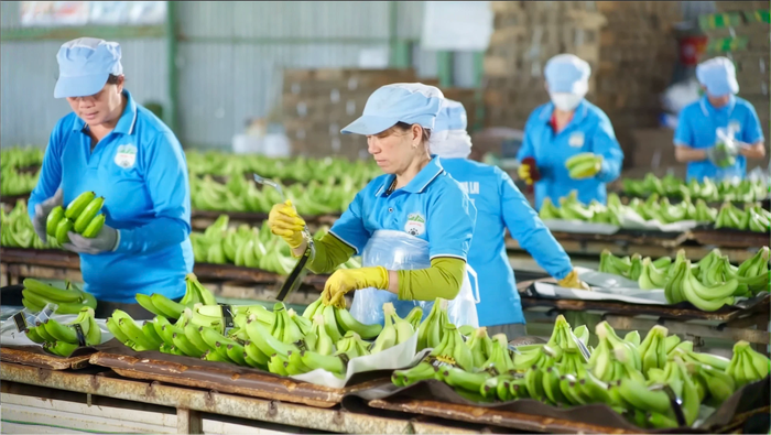 Cổ phiếu của HAGL Invest sắp được giao dịch trên UPCoM - Ảnh 1.
