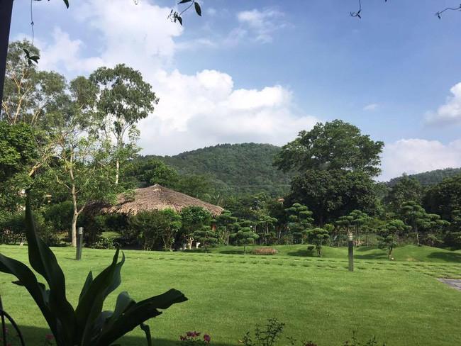 Sao hạng A từng là thủ khoa Nhạc viện, ở biệt phủ nhà vườn rộng 1,2 hécta tựa chốn bồng lai- Ảnh 7.