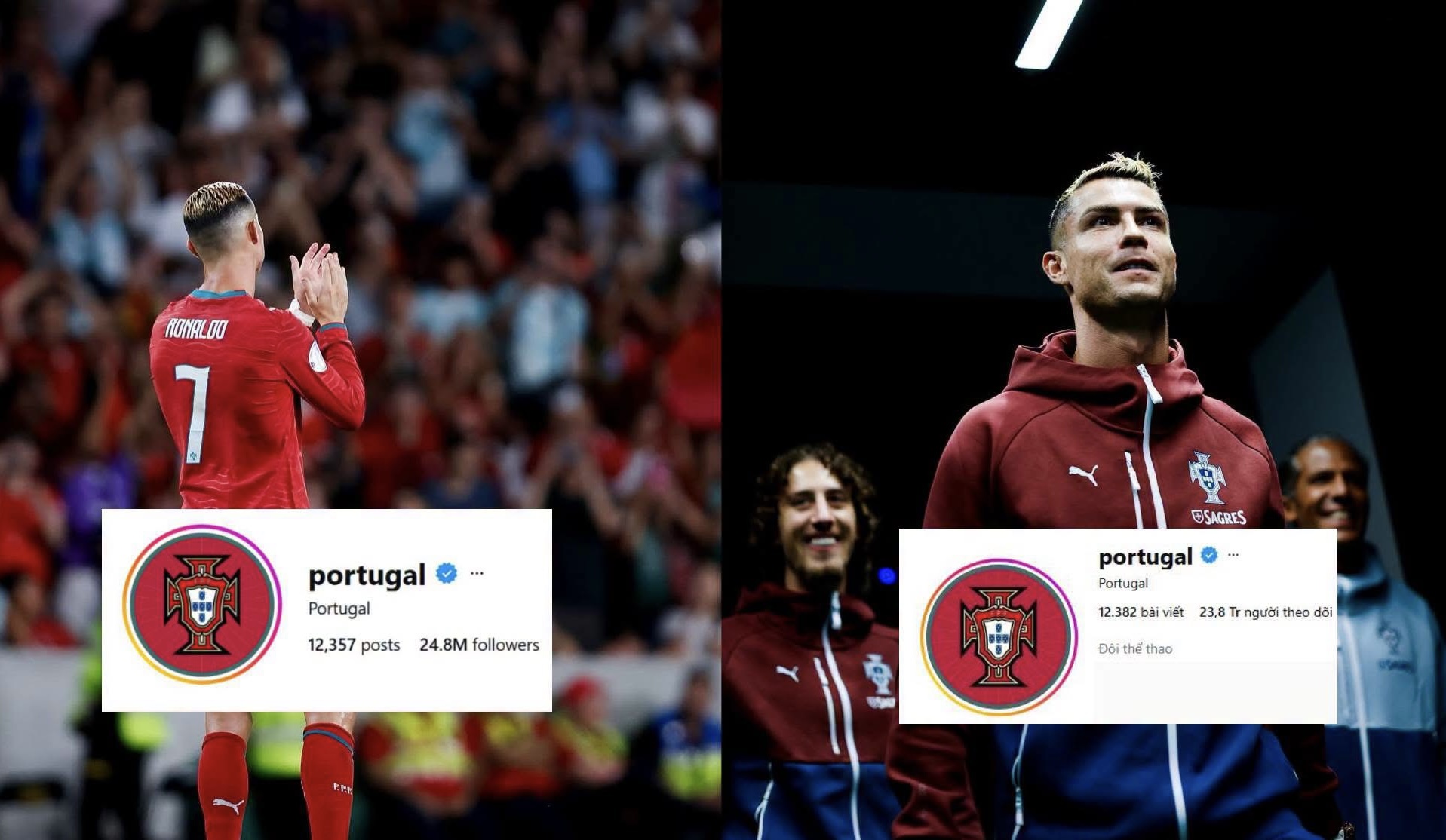 Ronaldo "dứt áo ra đi", trang MXH của LĐBĐ Bồ Đào Nha lập tức "bay màu" hơn 1 triệu lượ theo dõi - Ảnh 1.