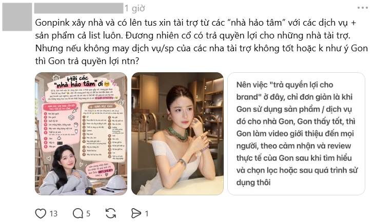 TikToker 3,3 triệu followers “xây nhà kêu gọi tài trợ từ keo dán gạch đến bếp gas” gây tranh cãi- Ảnh 2.