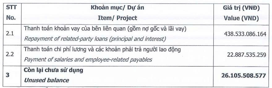 Novaland chưa giải ngân xong vốn huy động từ đợt chào bán ESOP năm 2025 - Ảnh 1.