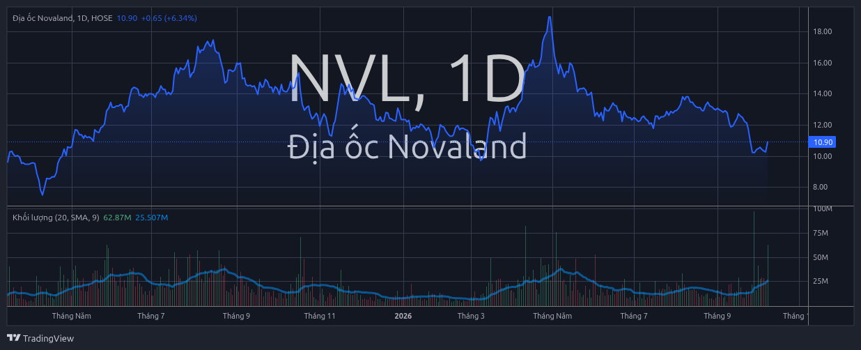 Novaland bất ngờ "có biến" - Ảnh 1.