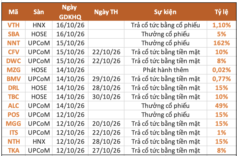 Lịch chốt quyền cổ tức tuần 12-16/10: Ba công ty cùng trả cổ tức tiền mặt 15%- Ảnh 1.