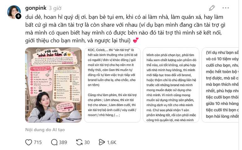 TikToker 3,3 triệu followers “xây nhà kêu gọi tài trợ từ keo dán gạch đến bếp gas” gây tranh cãi- Ảnh 4.