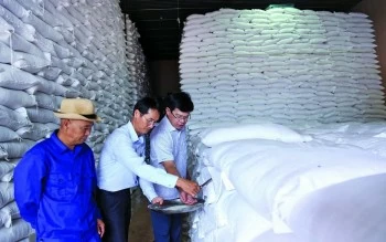 Chi cục Dự trữ Nhà nước khu vực II: Xuất cấp kịp thời, bảo đảm an toàn nguồn lực dự trữ quốc gia Chi cục Dự trữ Nhà nước khu vực II: Xuất cấp kịp thời, bảo đảm an toàn nguồn lực dự trữ quốc gia