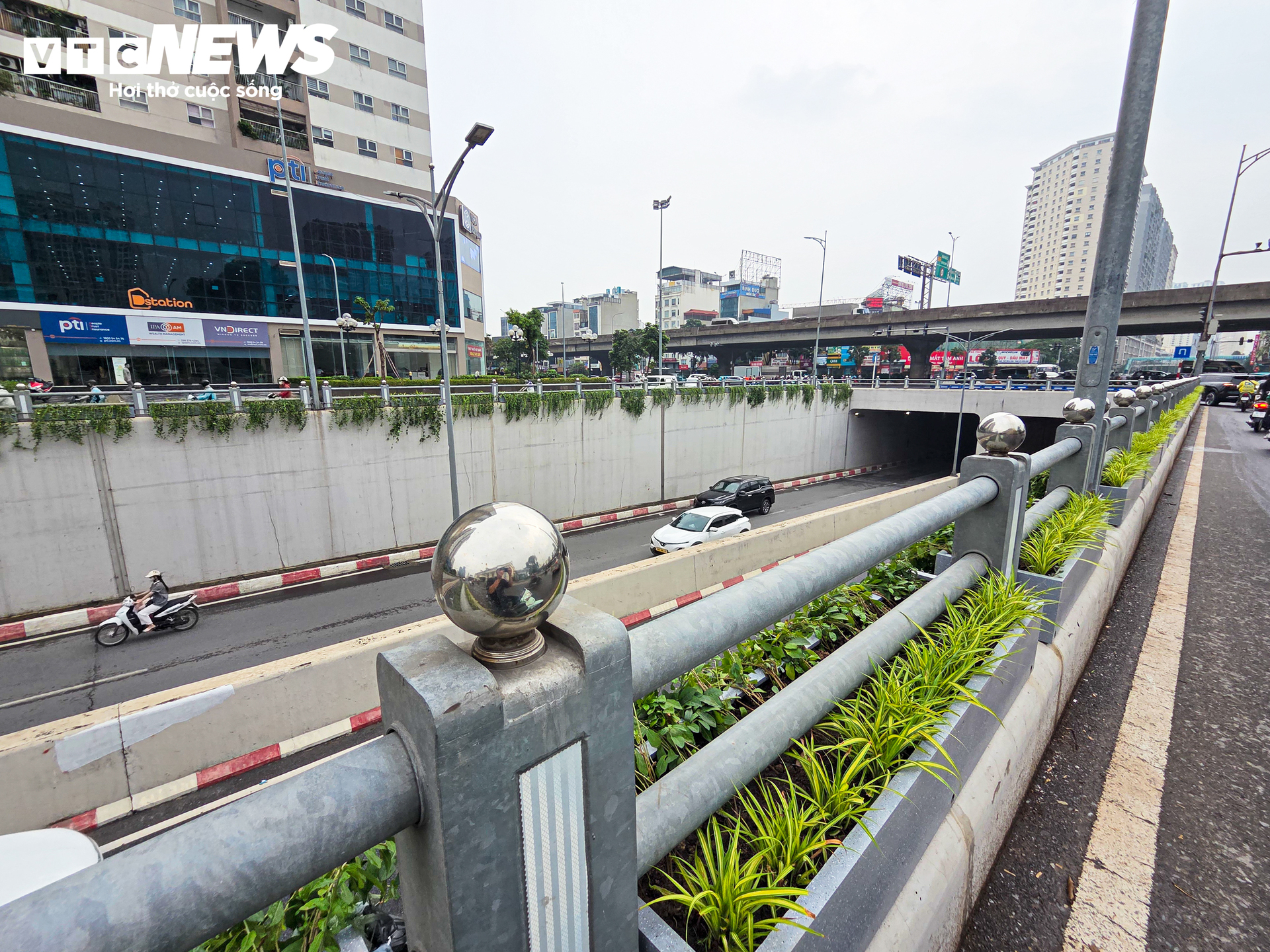 Lạ mắt những vòm cây xanh phủ kín trụ metro, hầm chui ở Hà Nội - Ảnh 9.