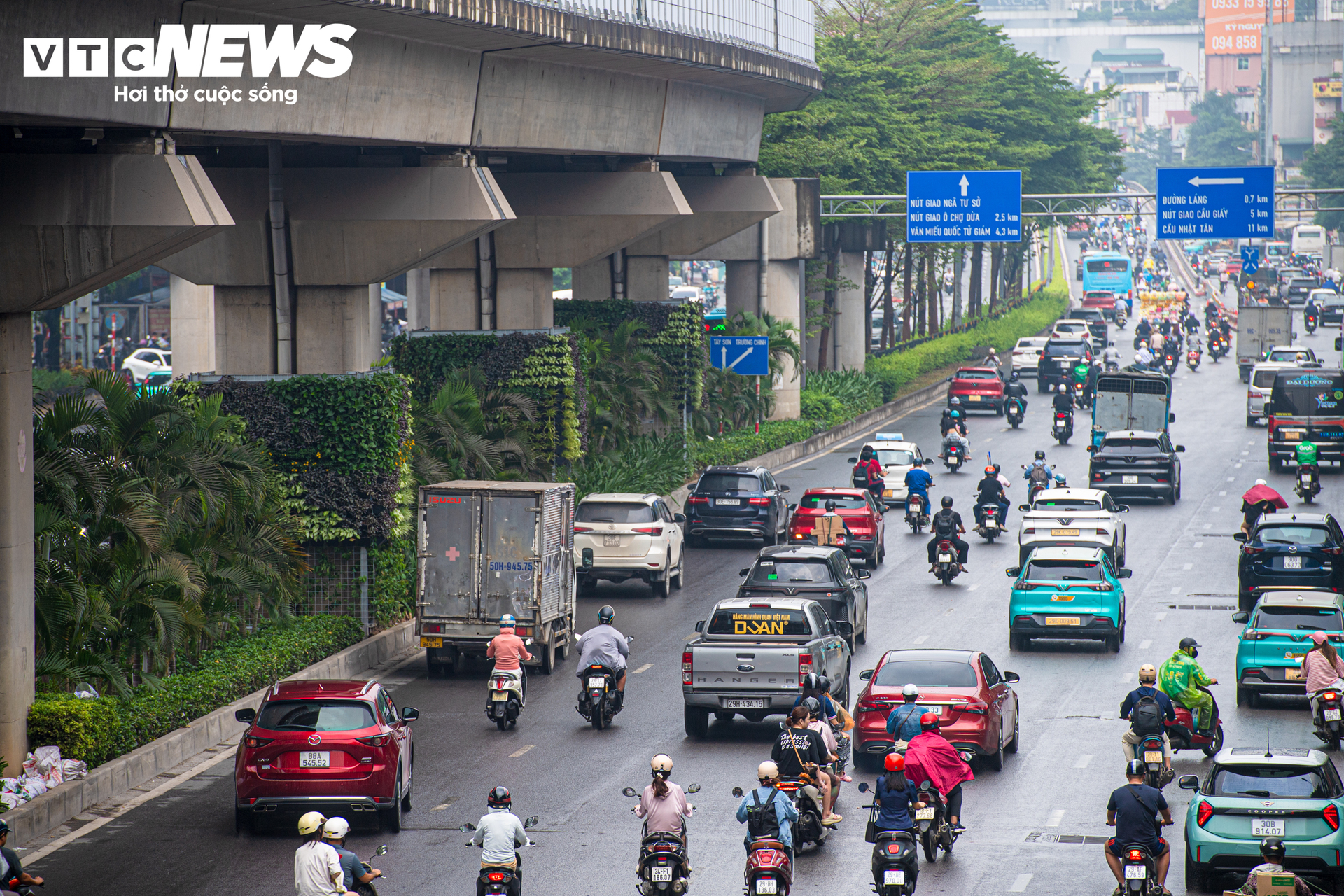 Lạ mắt những vòm cây xanh phủ kín trụ metro, hầm chui ở Hà Nội - Ảnh 2.