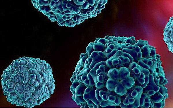 Thuốc trị tay chân miệng ở trẻ em 3 virus_gay_benh_tay_chan_mieng_benhvn